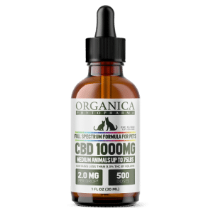 1000MG Pet CBD