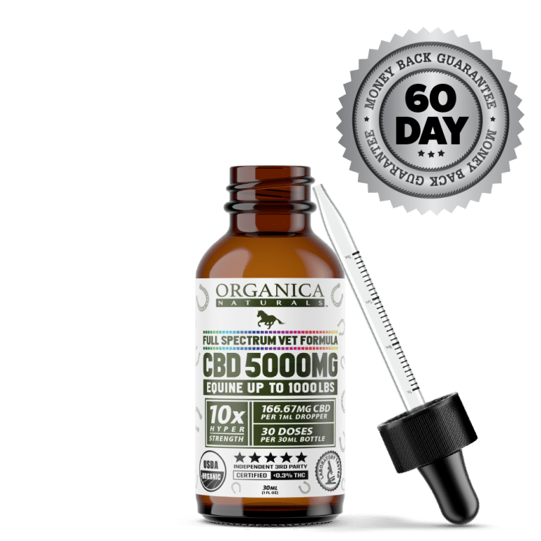 CBD Oil For Horses - 5000mg Full Spectum For Equine Vets - USDA Organic - Bottle With Dropper and Satisfaction Guarantee