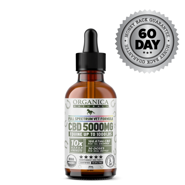 CBD Oil For Horses - 5000mg Full Spectum For Equine Vets - USDA Organic - Bottle - Satisfaction Guarantee