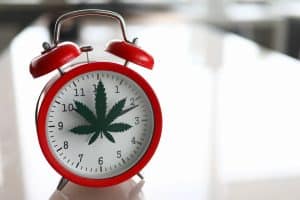 How long does CBD stay in your system? Know the facts about how long CBD stays in your system, how fast CBD works, and how long CBD lasts.