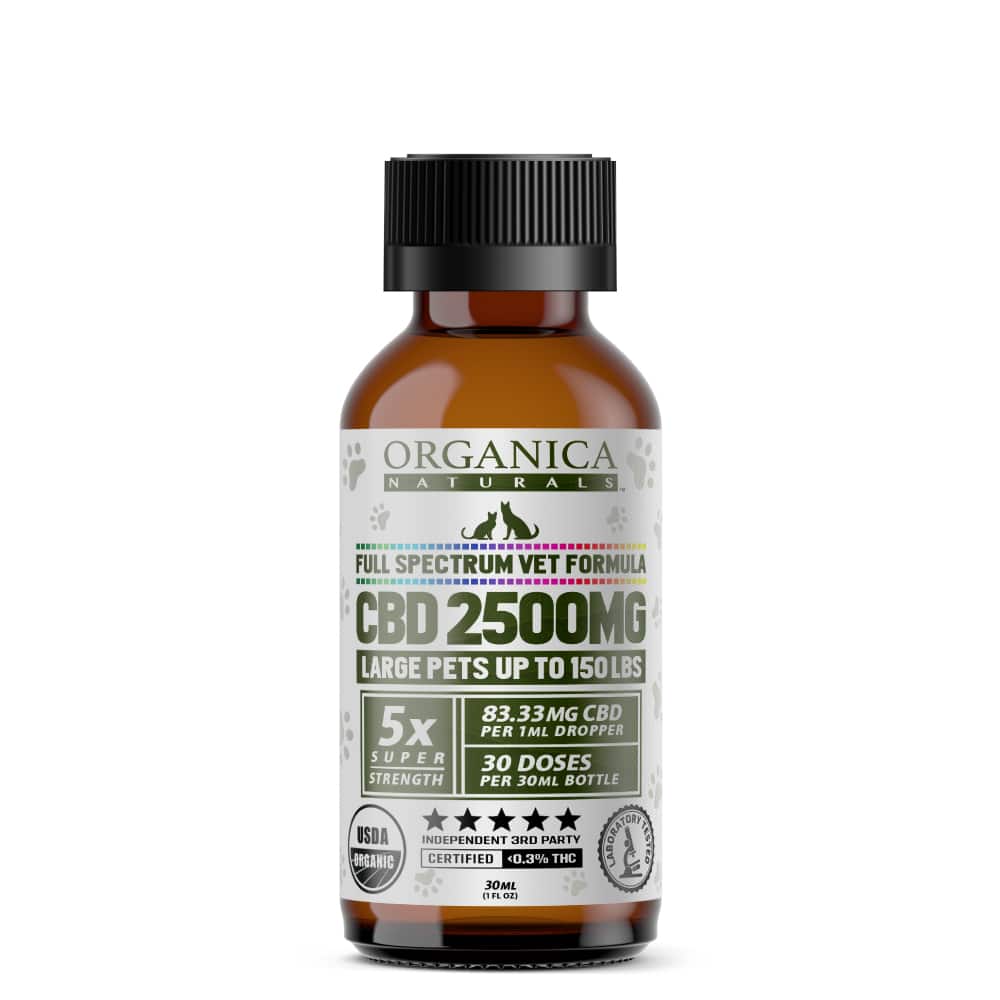 Pet CBD Oil: 2500mg Concentrated Veterinary Formula For Large Dogs