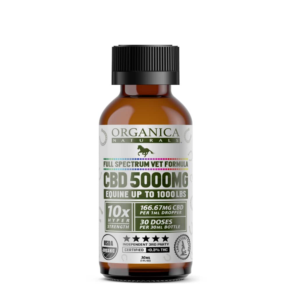 CBD Oil For Horses: 5000mg USDA Organic Certified Concentrated Veterinary Formula For Equine Use